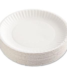 9 PAPER PLATE WHITE 1000/CS
